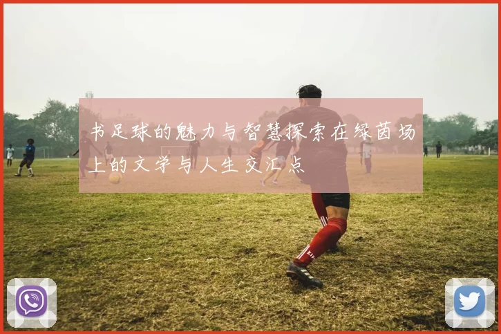 书足球的魅力与智慧探索在绿茵场上的文学与人生交汇点