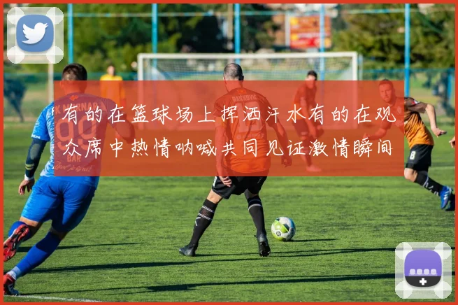 有的在篮球场上挥洒汗水有的在观众席中热情呐喊共同见证激情瞬间
