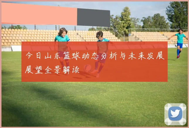 今日山东篮球动态分析与未来发展展望全景解读