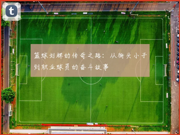 篮球刘辉的传奇之路：从街头小子到职业球员的奋斗故事