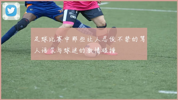 足球比赛中那些让人忍俊不禁的骂人语录与球迷的激情碰撞